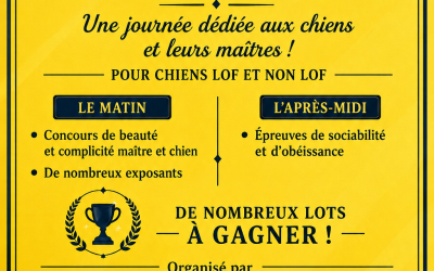 🐾 Journée Canine à Palleville – Dimanche 6 Septembre